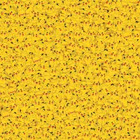 Pikachu Challenge - Pokémon
