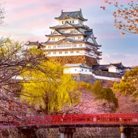 Château de Himeji - Japon - Puzzle Highlights - Châteaux