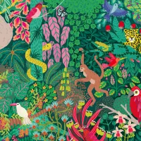 Forêt Tropicale Magique