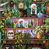 Bibelots Et Objets de Sorcière