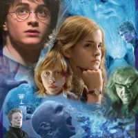 Harry Potter à Poudlard (TM)