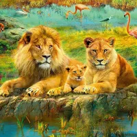 Lions dans la Savanne