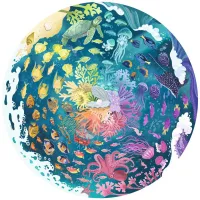 Circle of Colors - Océans