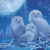 Puzzle Glow in the Dark - Chouettes au Clair de Lune