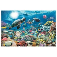 Sous la Mer