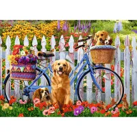 Aventure de Chiots