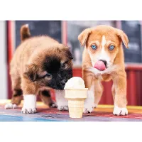 Temps d'une Glace !