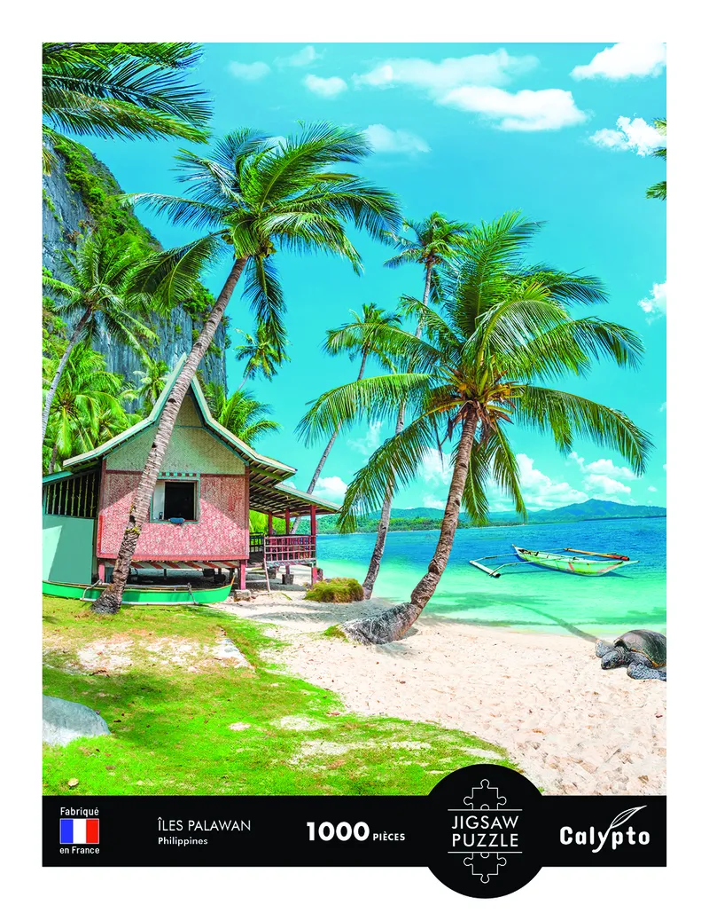 Paysage - Plage Tropicale Palawan - Philippines