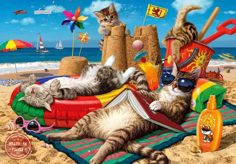 Cats on The Beach