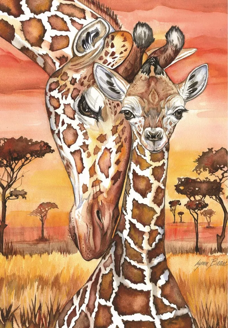 Girafes