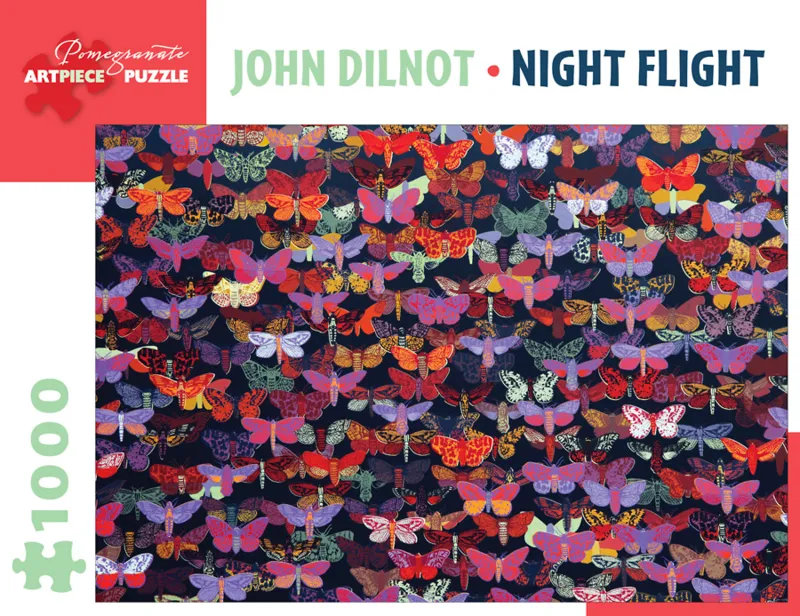John Dilnot - Night Flight