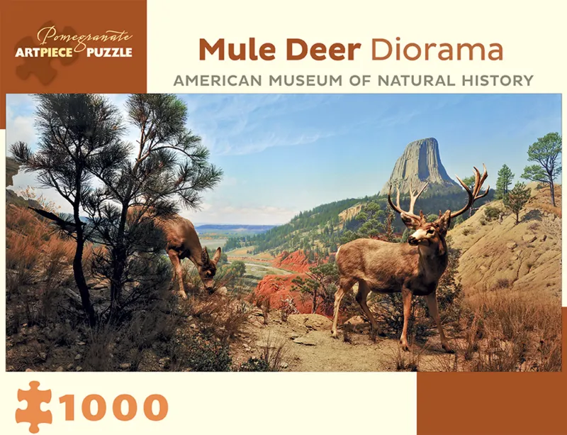 Mule Deer Diorama - American Museum of Natural History