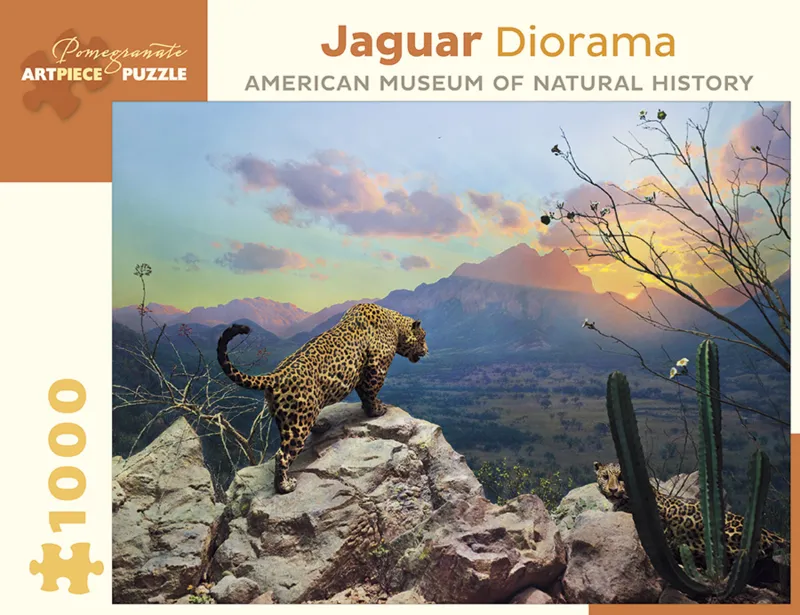 Jaguar Diorama - October at Sunset, Sonora, Mexico
