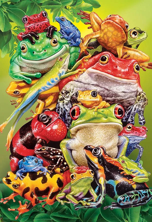 Pièces XXL - Affaires De Grenouilles