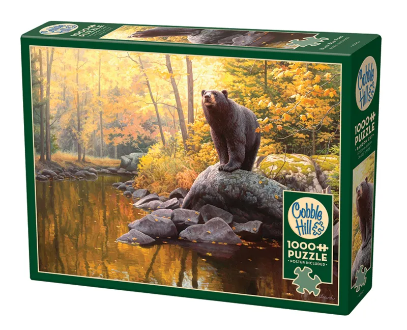 Étang De L'Ours Noir