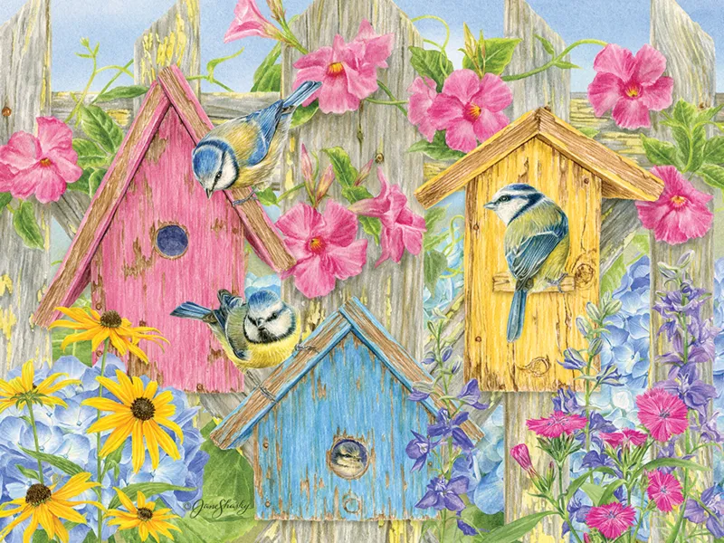 Pièces XXL - Choeur d'été