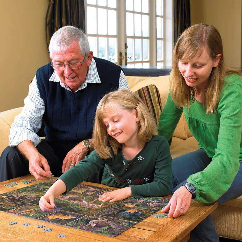 Dans les bois - Family Pieces