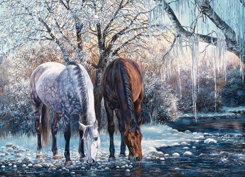 La Beauté de l'Hiver