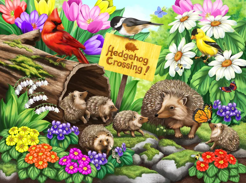 Nancy Wernersbach - Hedgehog Crossing
