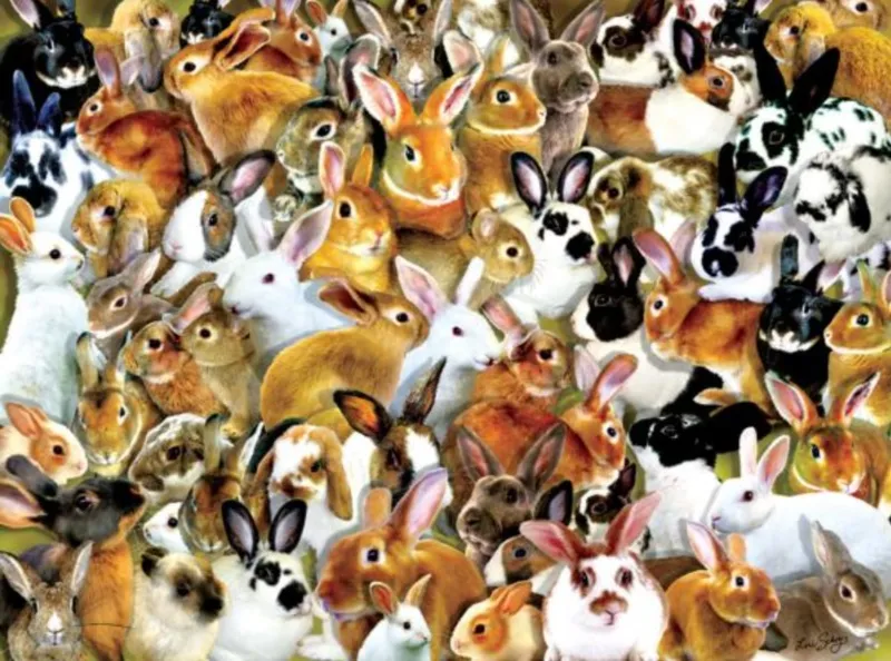 Lori Schory - A Bundle of Bunnies
