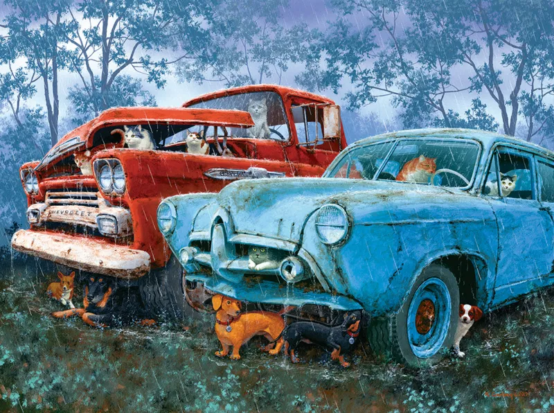 Chiens et Chats Sous la Pluie