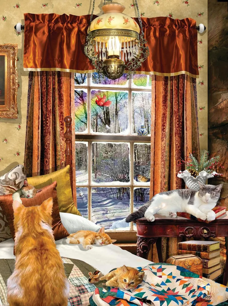 Chats D'Hiver
