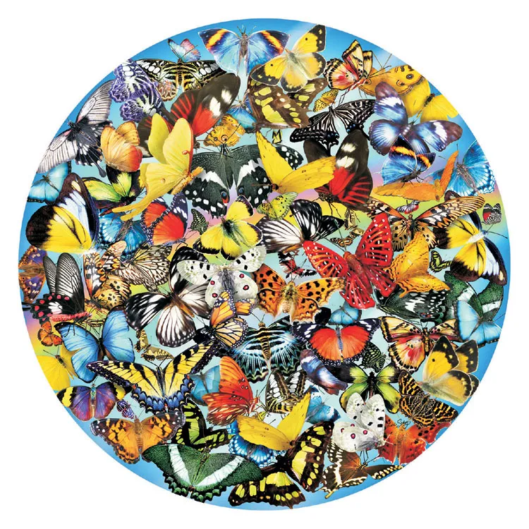 Lori Schory - Butterflies in the Round