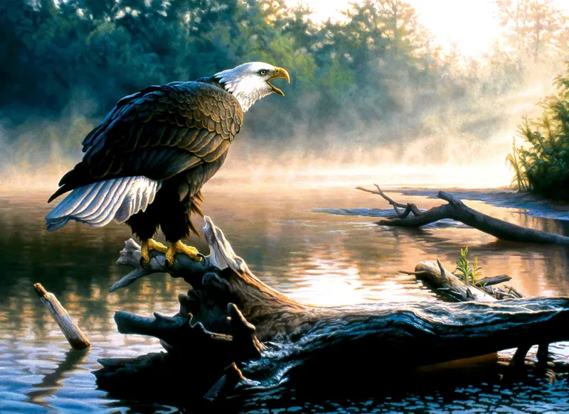 Greg Alexander - Scouting the River