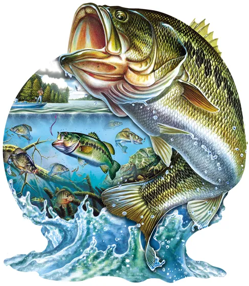 Jon Q. Wright - Leap to Freedom