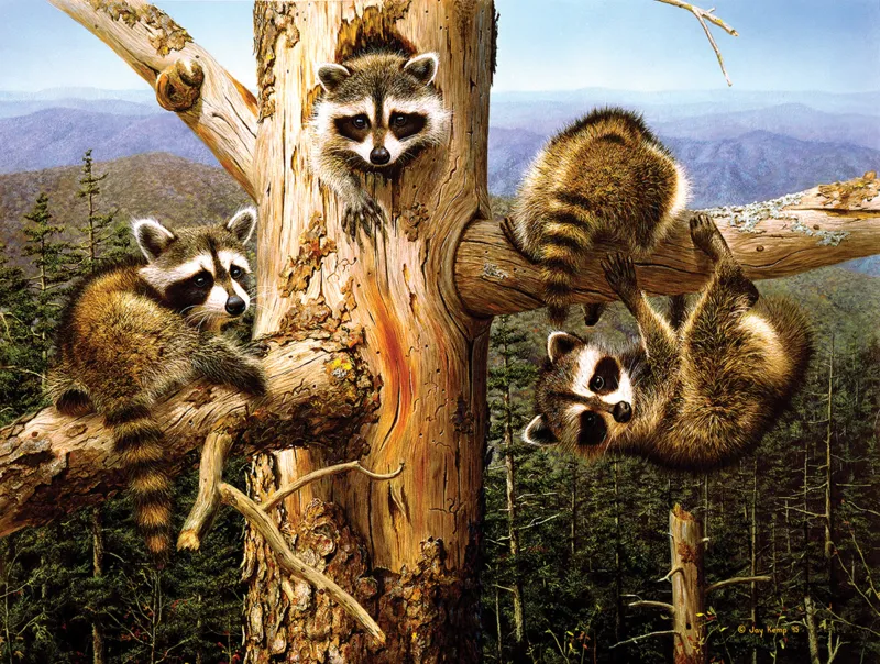 Pièces XXL - Balancing Act