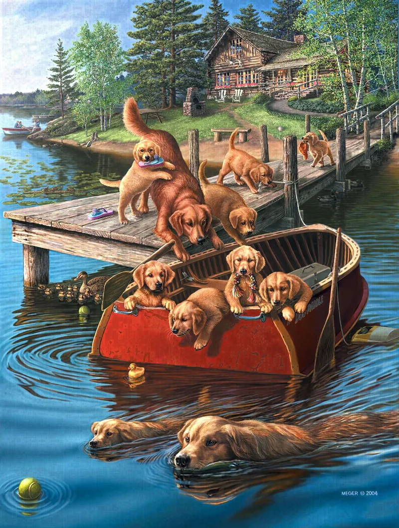 Pièces XXL - Dog Paddle