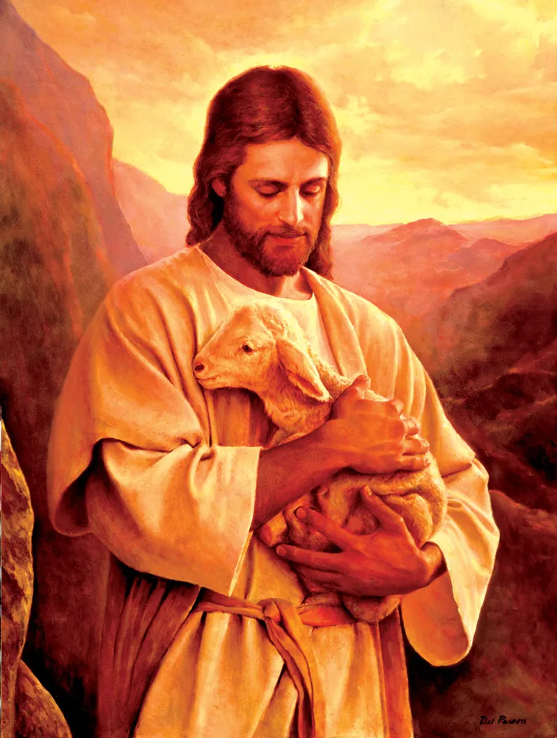 Pièces XXL - Lost Lamb