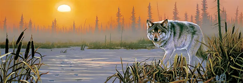 Pièces XXL - Winter Sunrise