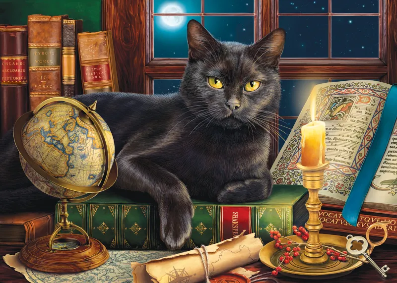 Pièces XXL - Black Cat by Candlelight