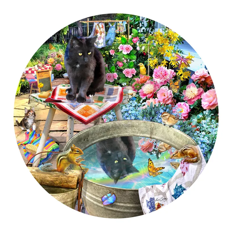 Reflets de Chaton