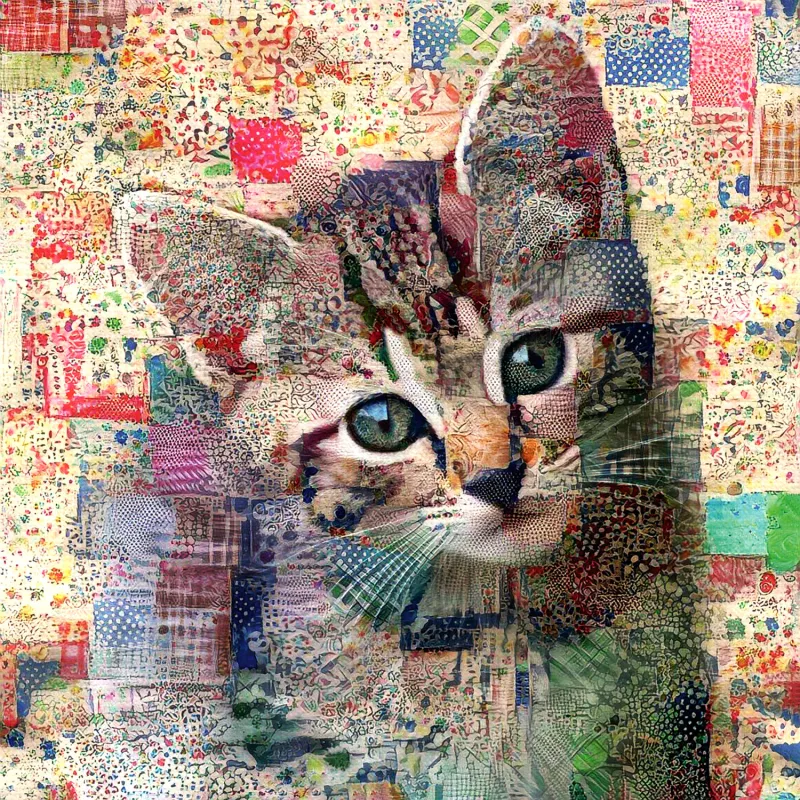 Chaton Tigré Matelassé