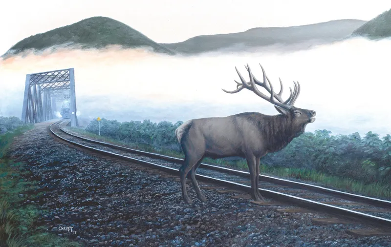 Dan Christ - Elk Tracks