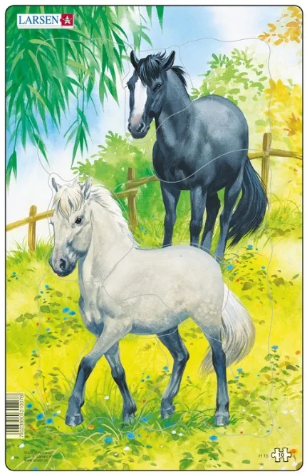 Puzzle Cadre - Chevaux Blanc et Noir