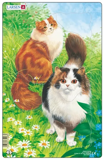 Puzzle Cadre - Chats