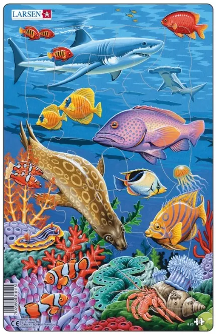 Puzzle Cadre - Animaux Marins