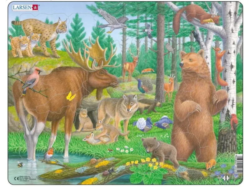 Puzzle Cadre - Animaux de la Forêt