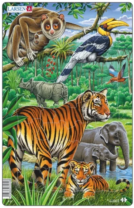 Puzzle Cadre - Le Tigre et les Animaux de la Jungle