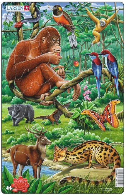 Puzzle Cadre - Animaux de la Jungle