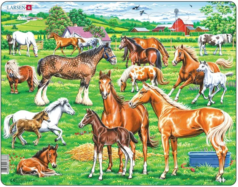Puzzle Cadre - Beaux chevaux