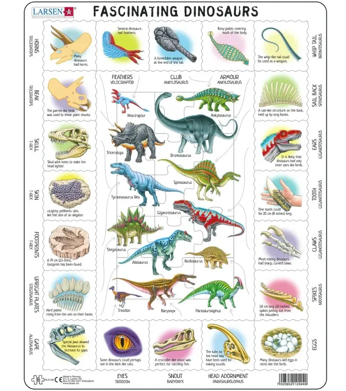 Puzzle Cadre - Dinosaures (en anglais)