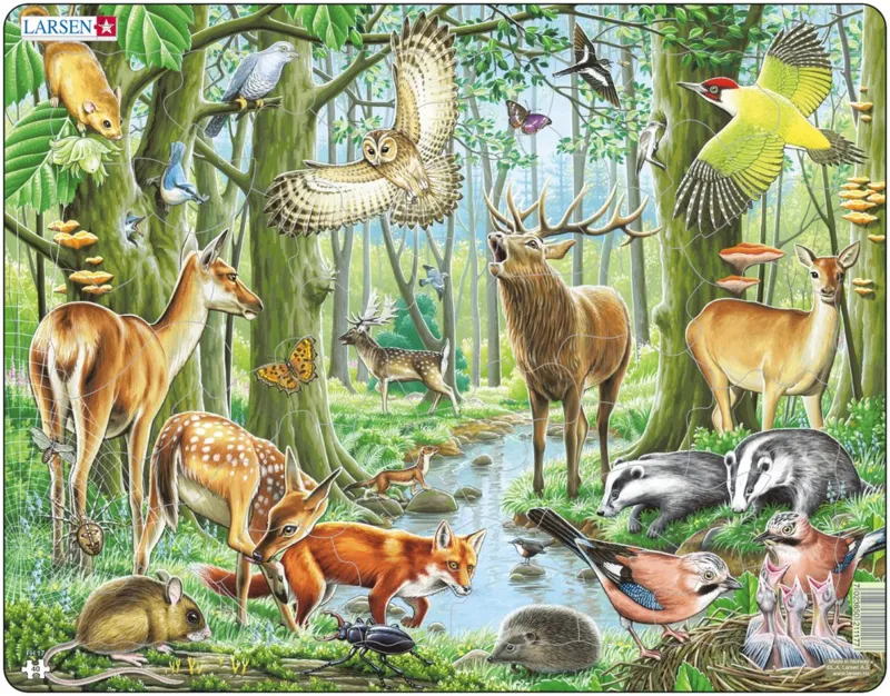 Puzzle Cadre - Les Animaux de la Forêt Européenne