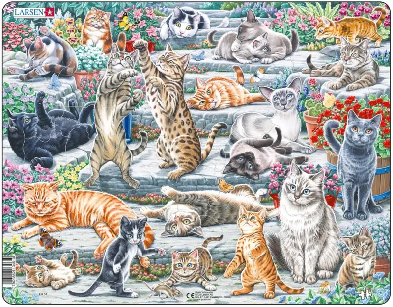 Puzzle Cadre - Chats mignons