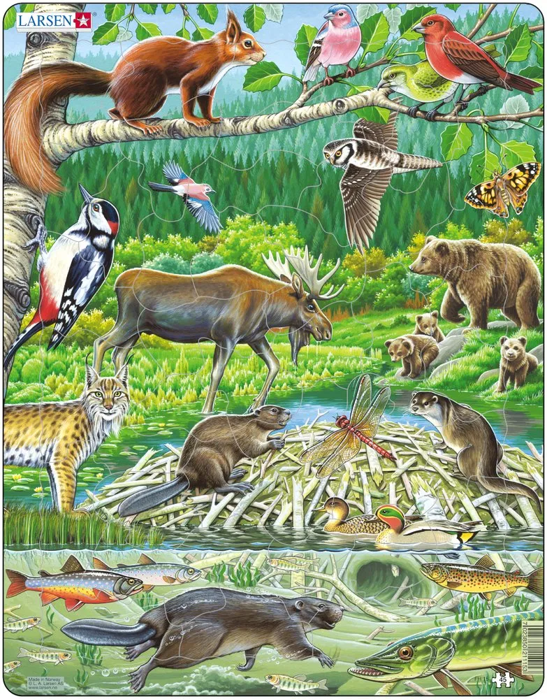 Puzzle Cadre - Les Animaux de la Forêt Nordique