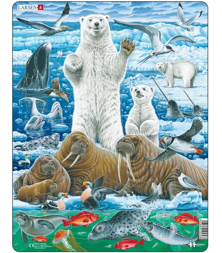 Puzzle Cadre - Ours Polaire & Morse