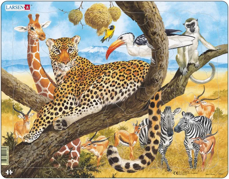 Puzzle Cadre - Le Tigre et les Animaux de la Jungle